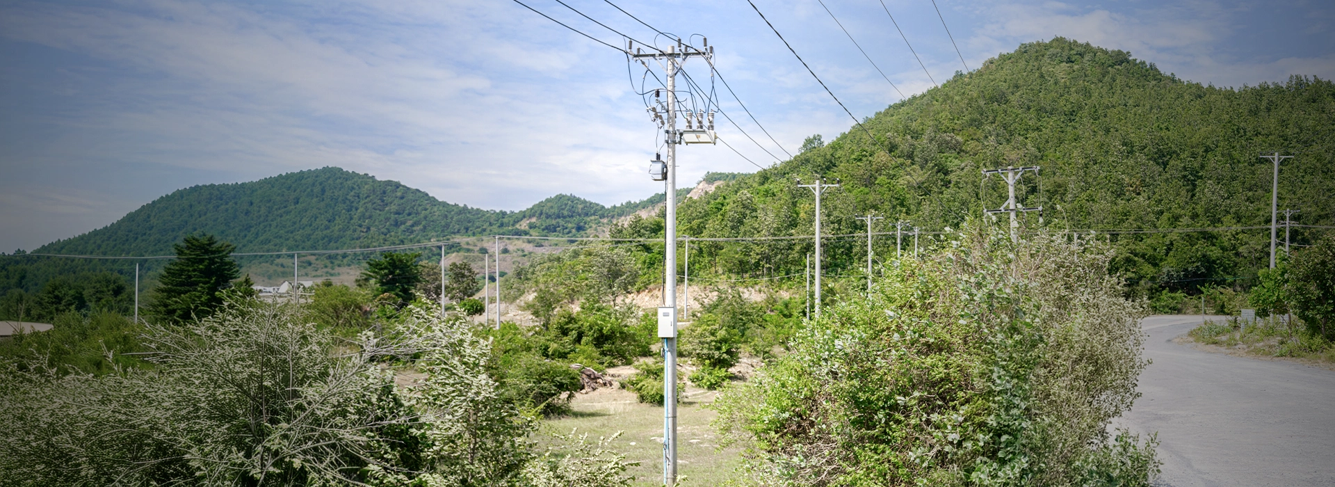 What does the DRC-011 do in the event of faults?